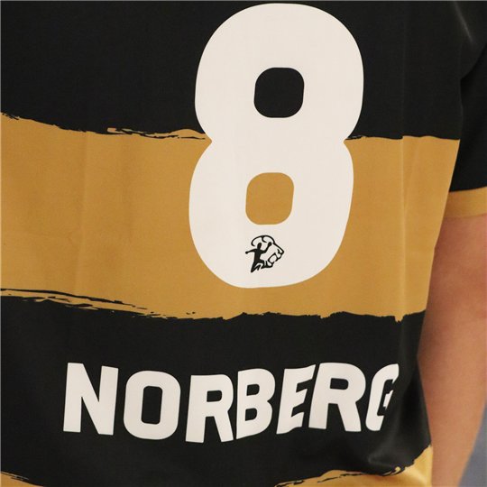 Original HC Elbflorenz Trikot Kinder 25/26 Original HC Elbflorenz Trikot Kinder 25/26